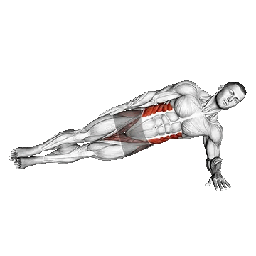 CopenhagenSide-Plank Progression